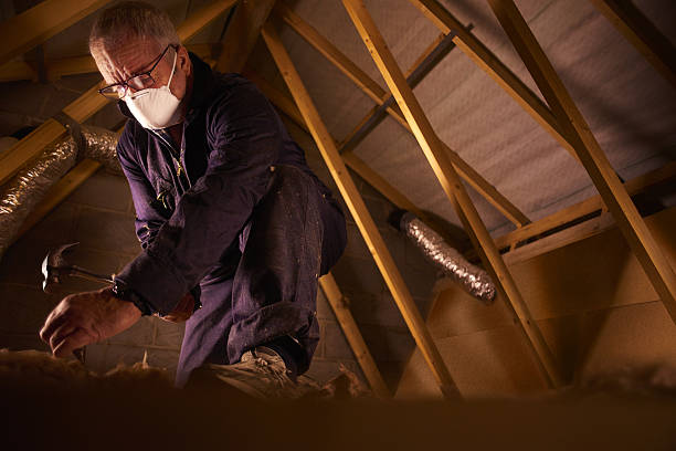 Best DIY Insulation Kits and Guidance in Bradford, OH
